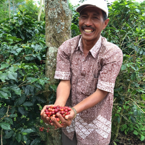 Proud coffee farmer