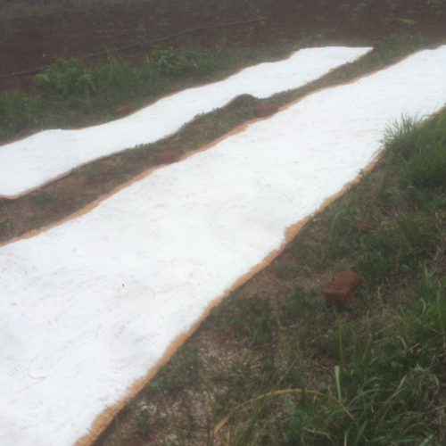 drying beds on the ground