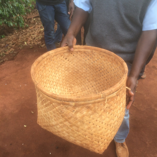 Bucket to wash the coffee