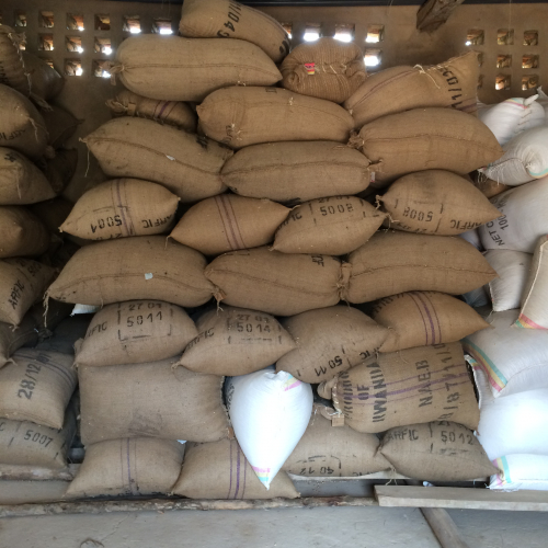 Rwanda coffee in a warehouse
