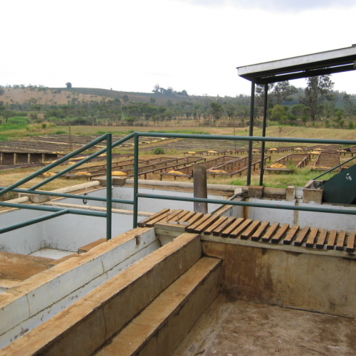 Coffee Mill in Kenya