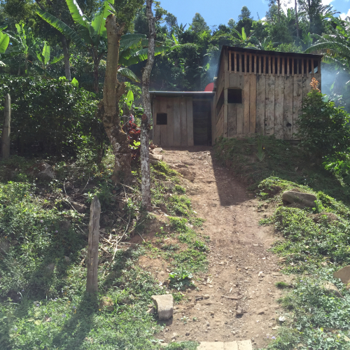 Local coffee farmer