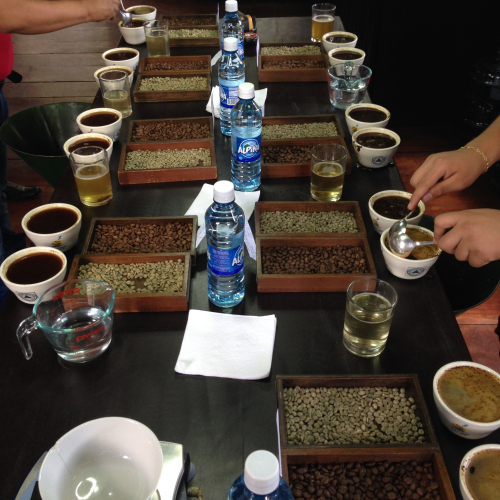 Cupping session