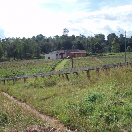 Empty drying beds