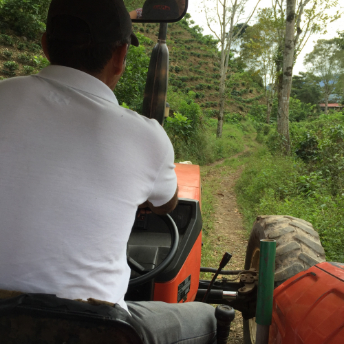 Driving to the cofffee fields