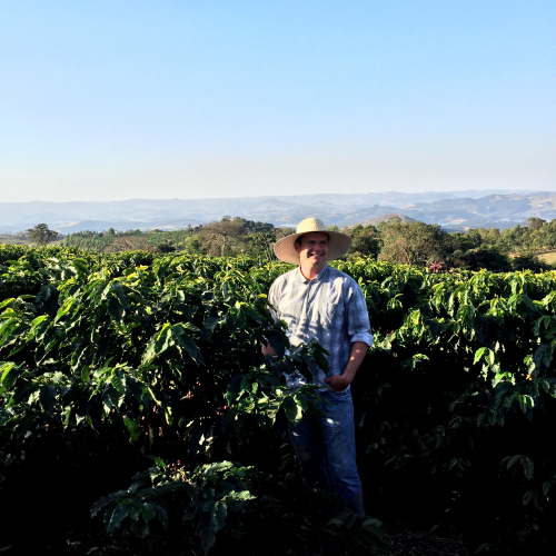 Visiting a coffee plantation in Mogiana - São Paulo