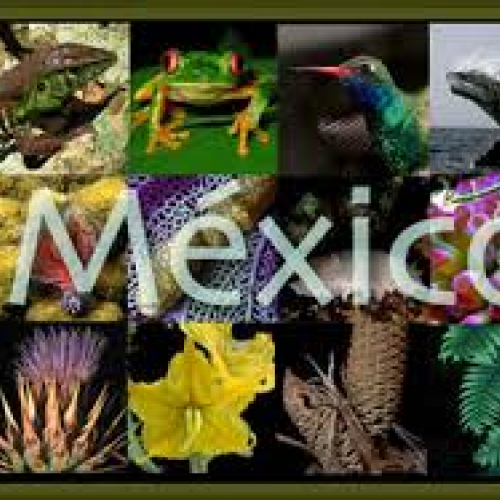 México is a country full of history, tradition, culture and nature