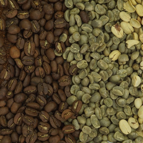 From parchment to roasted and grounded coffee