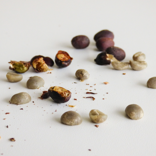 Painting of coffee beans