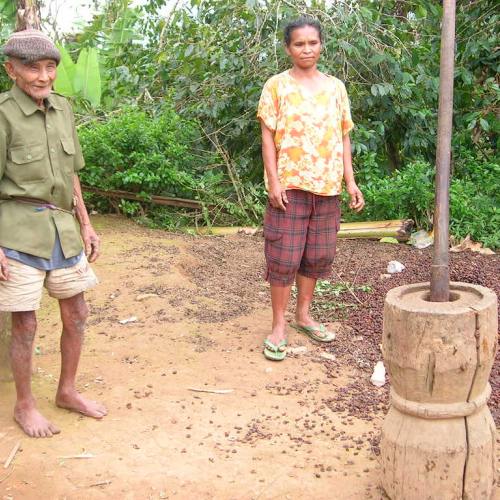 Local coffee farmers