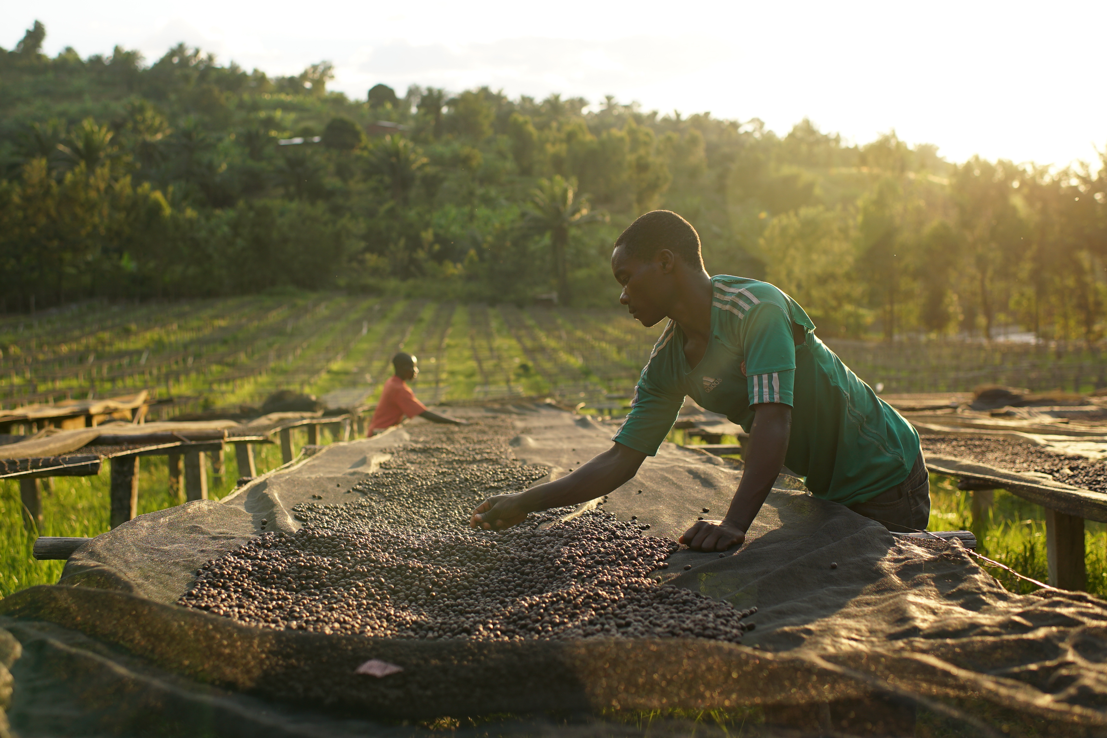 Burundi Specialty