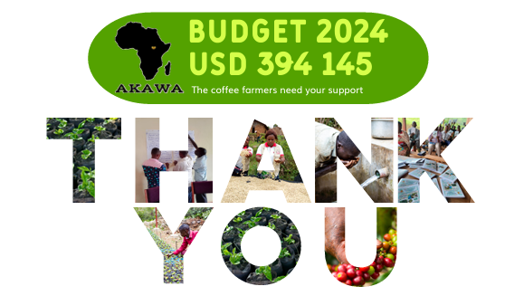 Akawa Budget 2024