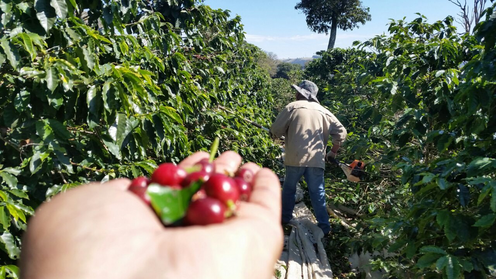 Harvesting