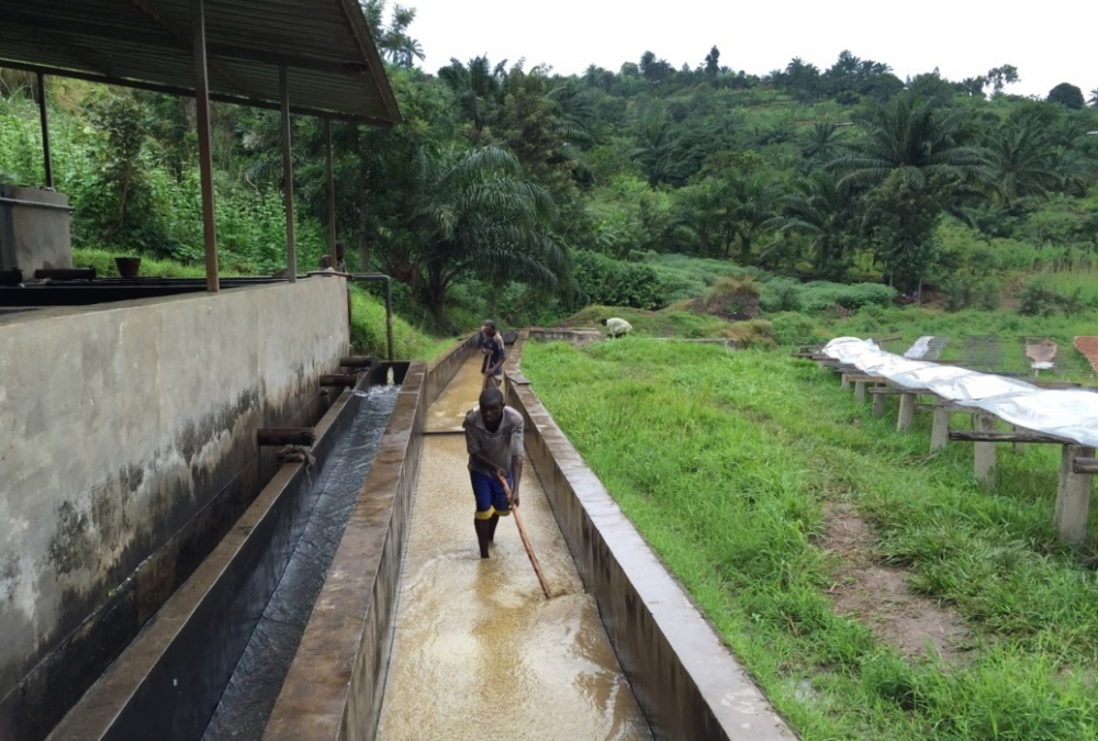 washing station