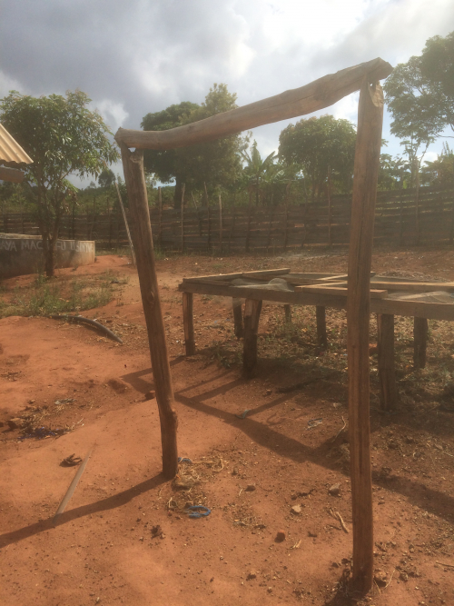 drying beds