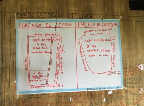 Plan of Parcela