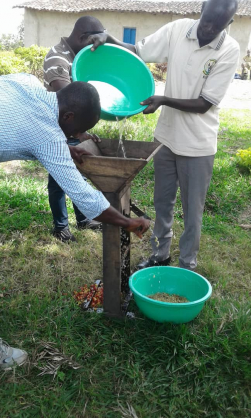 Congo Wash Process