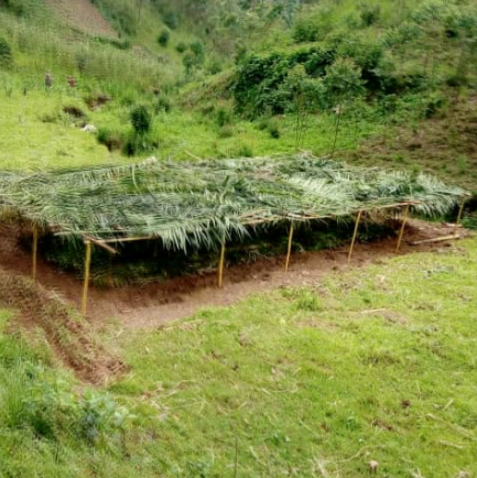 Nursery Beds