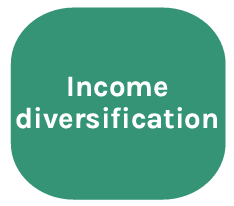 Income diversification